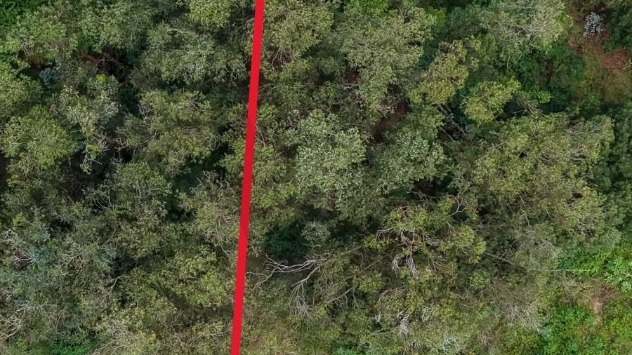 Terreno para Venda em Rosto do Cão (Livramento)