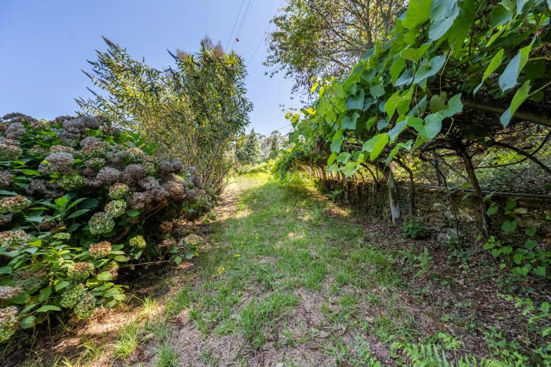 Quinta T5 para Venda em Gondar e Orbacém Foto 65