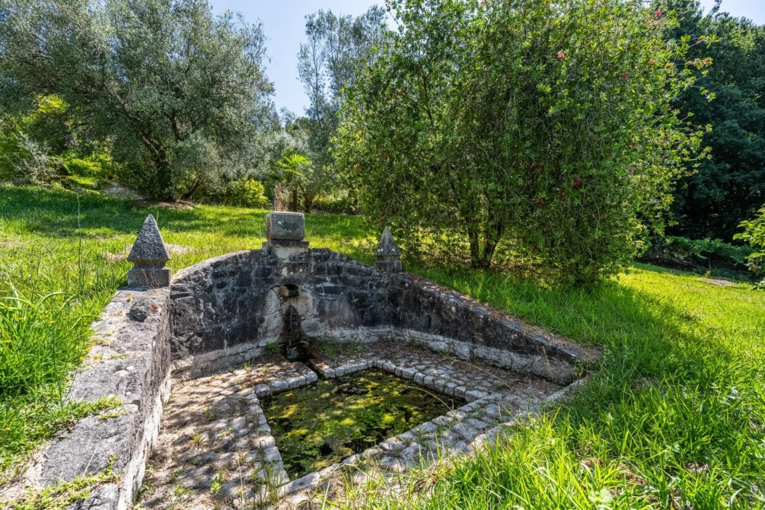 Quinta T5 para Venda em Gondar e Orbacém Foto 50