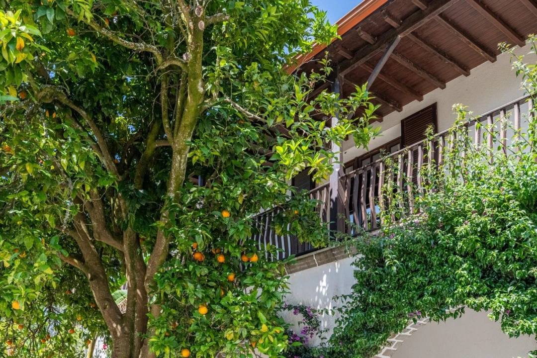 Quinta T5 para Venda em Gondar e Orbacém Foto 27