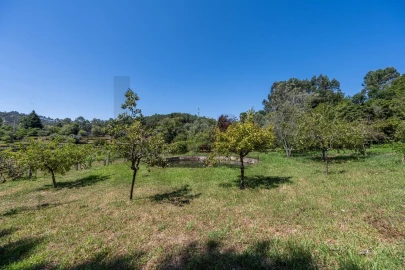Quinta T5 para Venda em Gondar e Orbacém