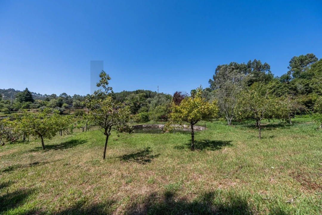 Quinta T5 para Venda em Gondar e Orbacém Foto 52