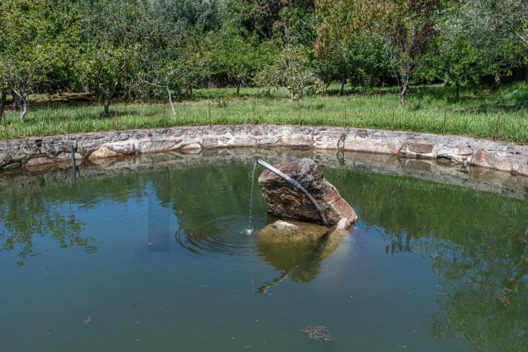 Quinta T5 para Venda em Gondar e Orbacém Foto 53