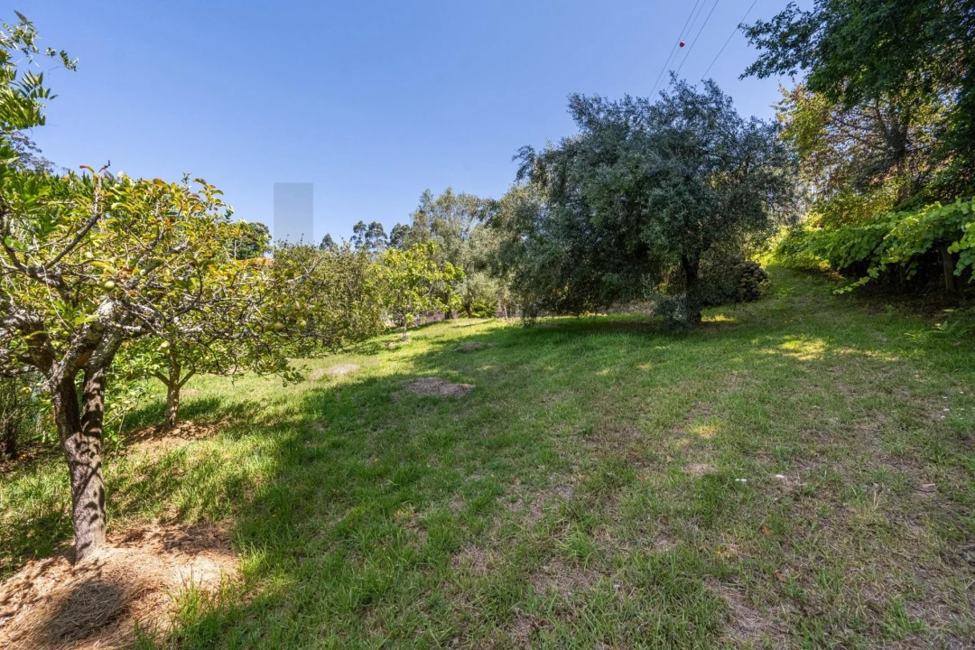 Quinta T5 para Venda em Gondar e Orbacém Foto 56