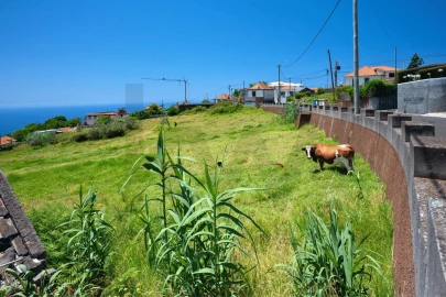Terreno para Venda em Arco da Calheta