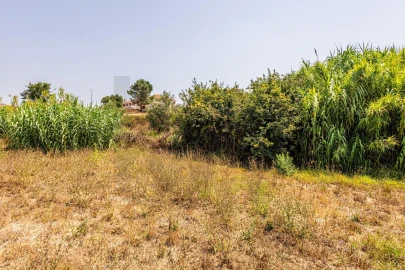 Armazém para Venda em Romeira e Várzea