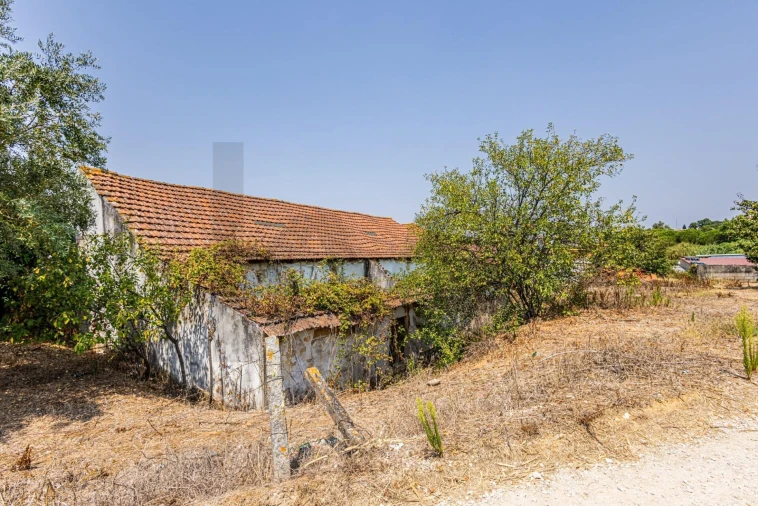 Armazém para Venda em Romeira e Várzea Foto 16