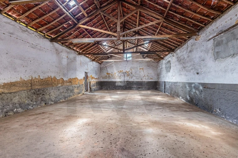 Armazém para Venda em Romeira e Várzea Foto 11