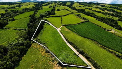 Terreno para Venda em Remedios