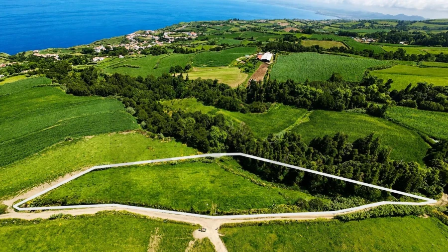 Terreno para Venda em Remedios