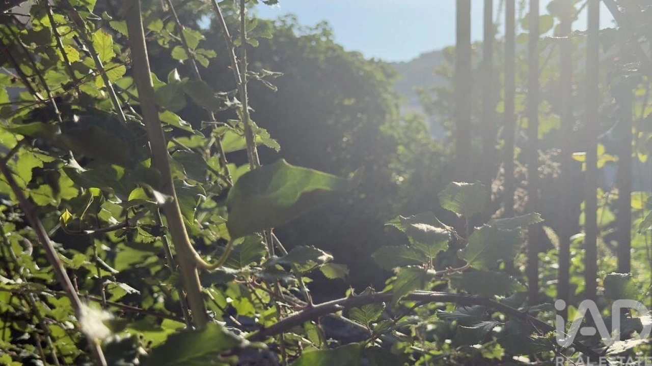 Prédio para Venda em Peso da Régua e Godim Foto 39