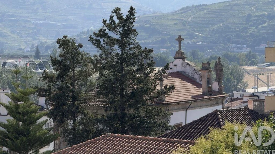 Prédio para Venda em Peso da Régua e Godim Foto 28