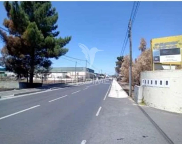 Armazém para Venda em Quinta do Anjo Foto 6