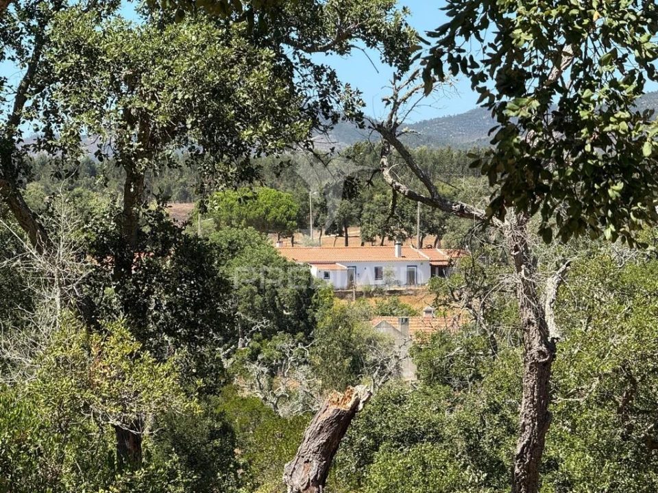 Quinta T7 para Venda em São Luis Foto 1