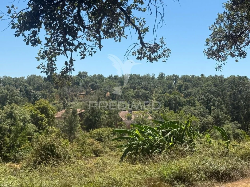 Quinta T7 para Venda em São Luis Foto 7
