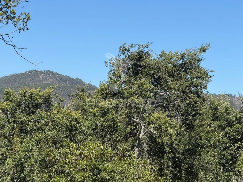 Quinta T7 para Venda em São Luis Foto 13