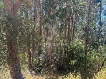 Quinta T7 para Venda em São Luis