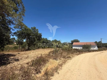 Quinta T7 para Venda em São Luis