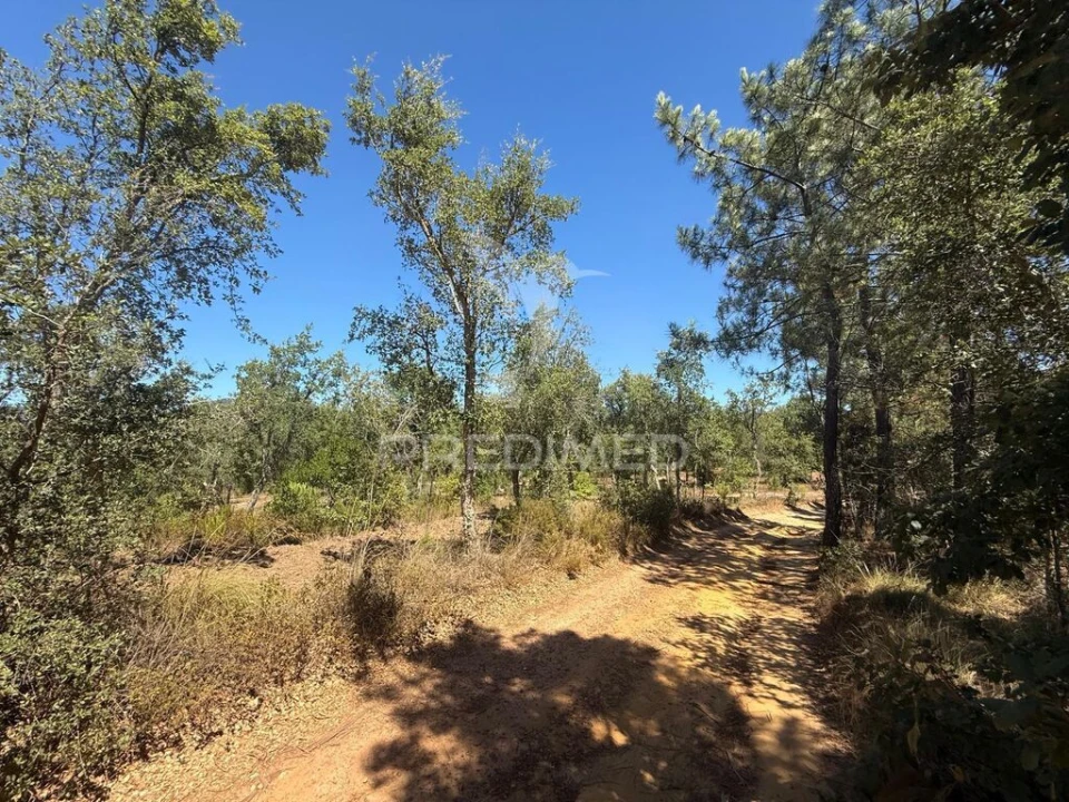 Quinta T7 para Venda em São Luis Foto 17