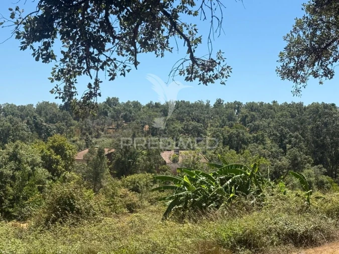 Quinta T7 para Venda em São Luis Foto 7