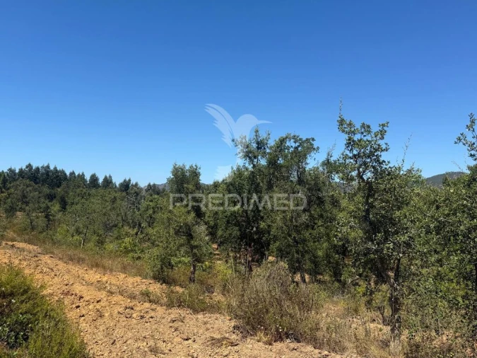 Quinta T7 para Venda em São Luis Foto 16