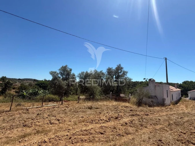 Quinta T7 para Venda em São Luis Foto 15