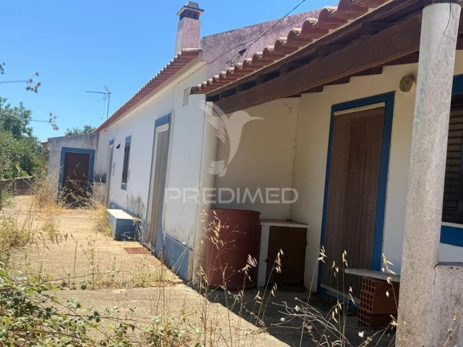 Quinta T7 para Venda em São Luis Foto 2
