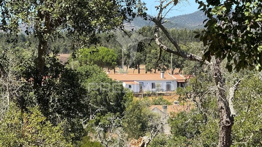 Quinta T7 para Venda em São Luis