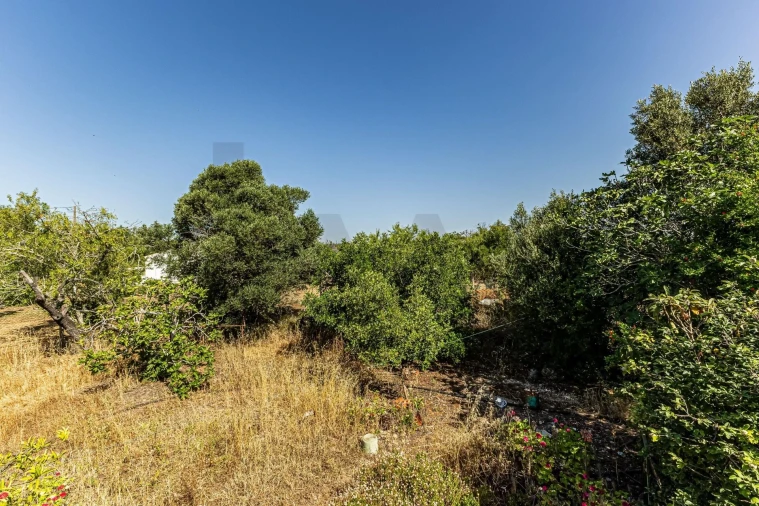 Apartamento T2 para Arrendamento em Alcantarilha e Pêra Foto 15