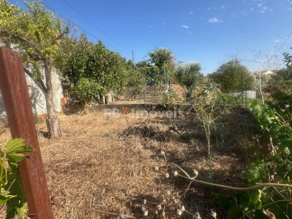 Garagem para Venda em São Miguel do Rio Torto e Rossio Ao Sul do Tejo Foto 3