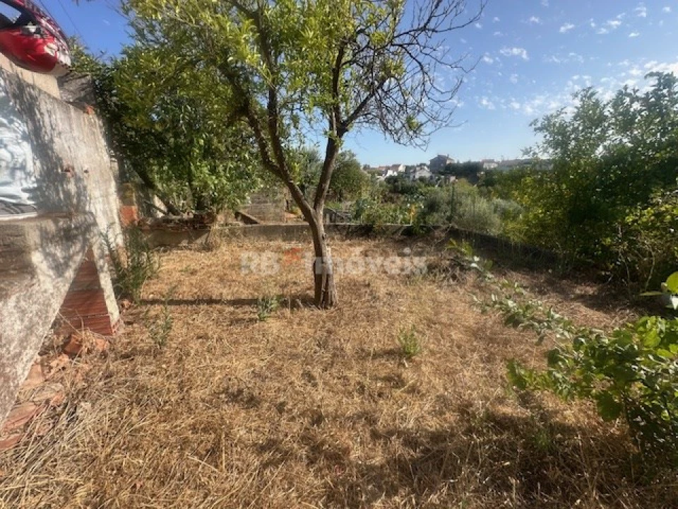 Garagem para Venda em São Miguel do Rio Torto e Rossio Ao Sul do Tejo Foto 6