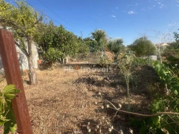 Garagem para Venda em São Miguel do Rio Torto e Rossio Ao Sul do Tejo