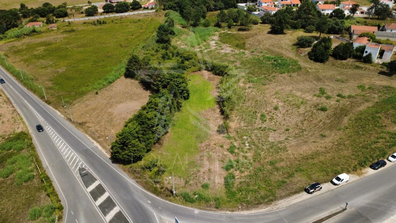 Terreno para Venda em Nossa Senhora do Pópulo, Coto e São Gregório Foto 14
