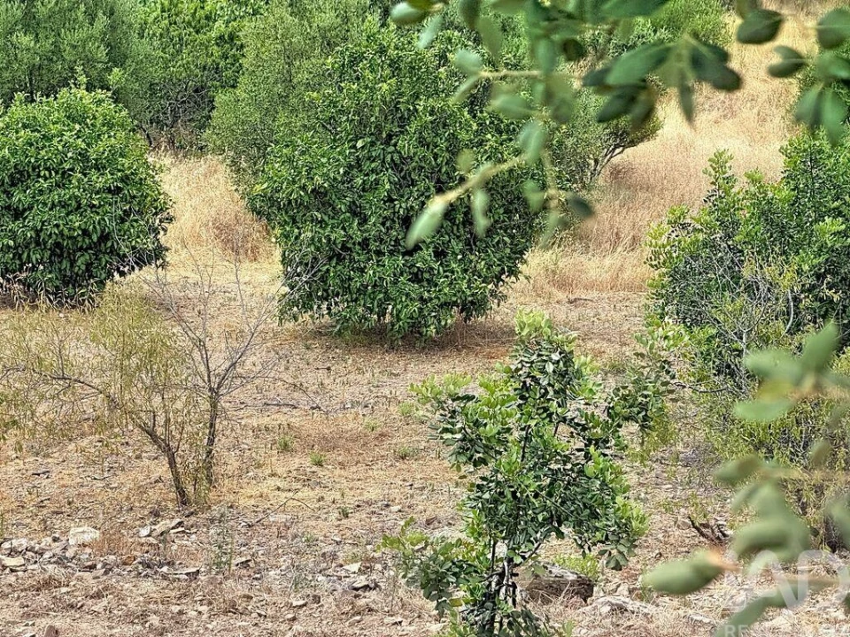 Moradia para Venda em Conceição e Cabanas de Tavira Foto 6