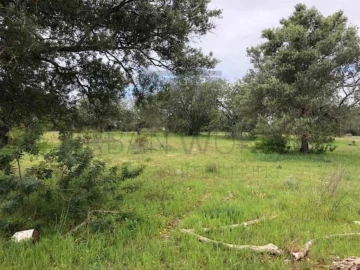Terreno para Venda em Tavira (Santa Maria e Santiago)