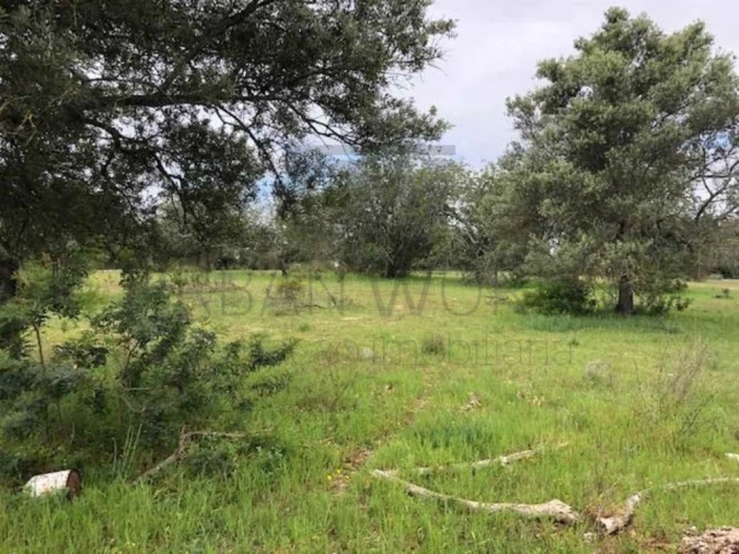 Terreno para Venda em Tavira (Santa Maria e Santiago) Foto 3