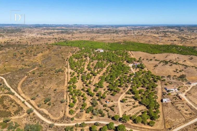 Moradia T4 para Venda em Ourique Foto 5