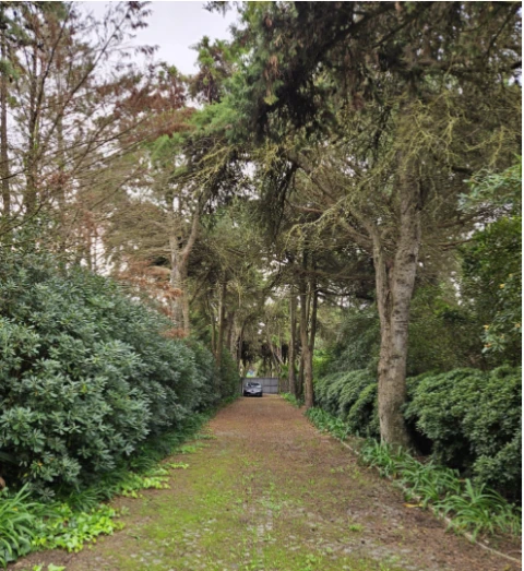 Terreno para Venda em Cascais e Estoril