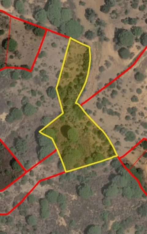 Terreno para Venda em Porches