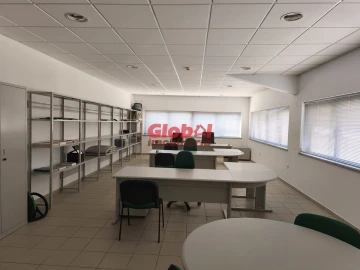 Armazém para Venda em Nelas
