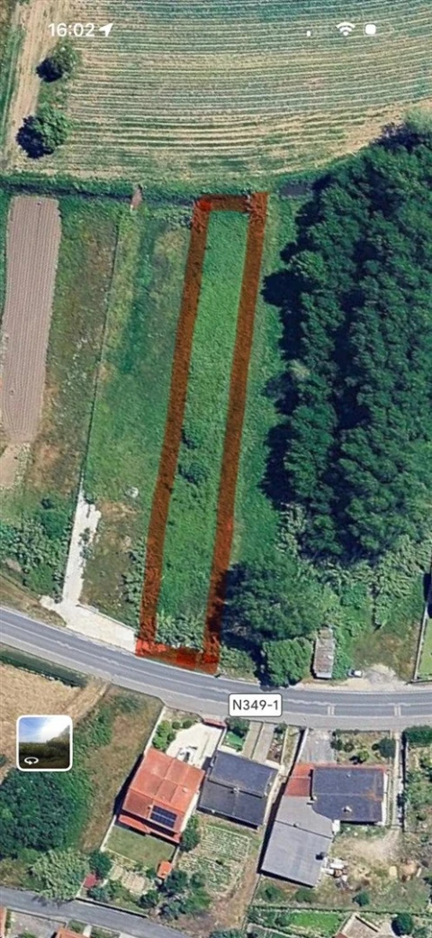 Terreno para Venda em Amor