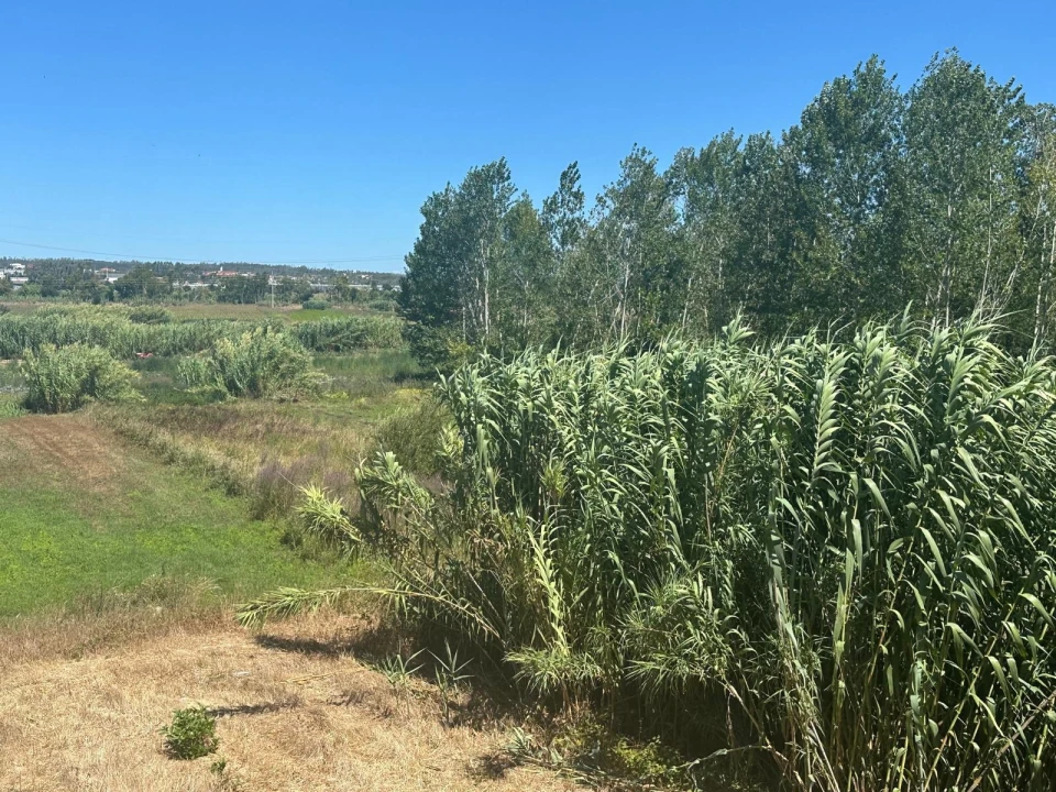 Terreno para Venda em Amor Foto 3