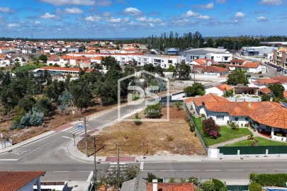 Terreno para Venda em Marinha Grande