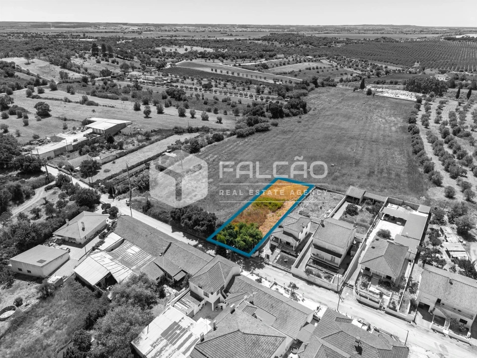 Terreno para Venda em São Vicente do Paul e Vale de Figueira Foto 26