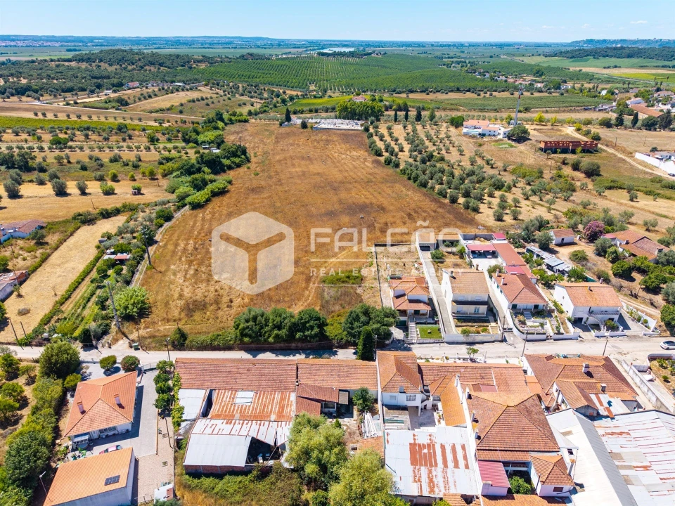 Terreno para Venda em São Vicente do Paul e Vale de Figueira Foto 4