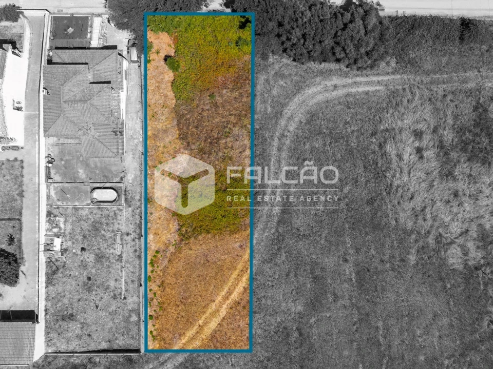 Terreno para Venda em São Vicente do Paul e Vale de Figueira Foto 21