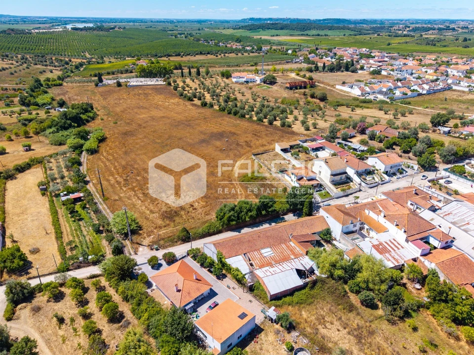 Terreno para Venda em São Vicente do Paul e Vale de Figueira Foto 6