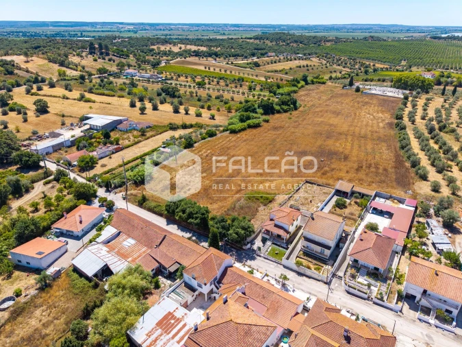 Terreno para Venda em São Vicente do Paul e Vale de Figueira Foto 2