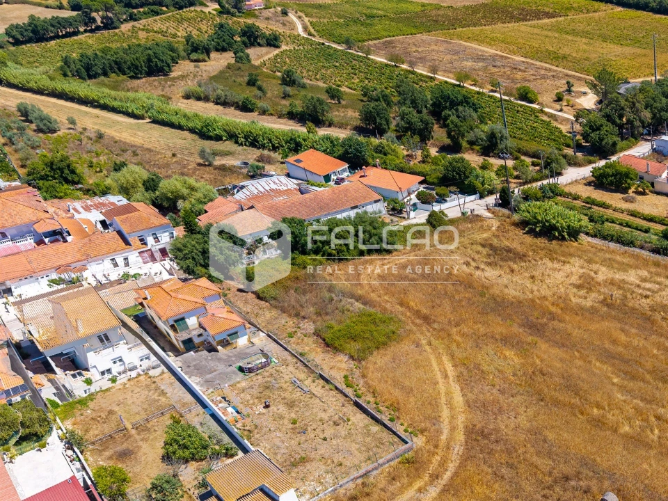 Terreno para Venda em São Vicente do Paul e Vale de Figueira Foto 20