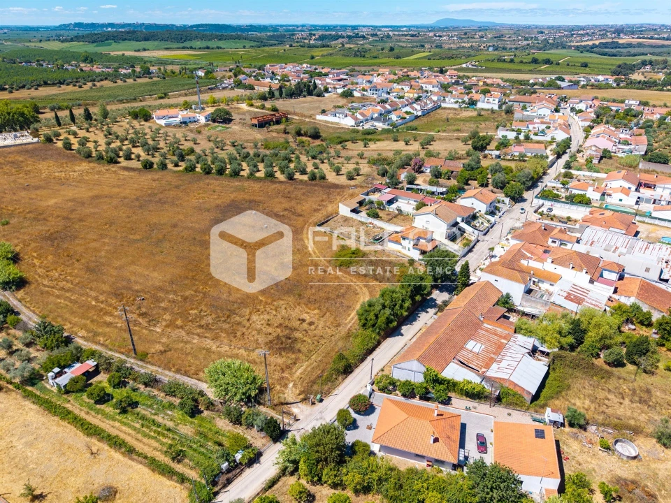 Terreno para Venda em São Vicente do Paul e Vale de Figueira Foto 8